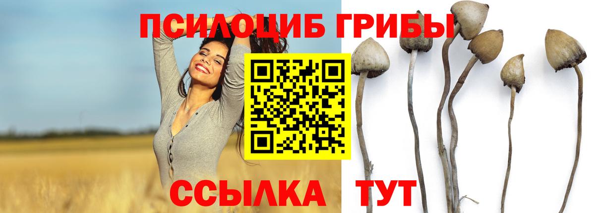 Псилоцибиновые грибы ЛСД Щёлково